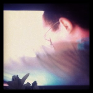 Pop culture muslim terrorist flight 93 lillies