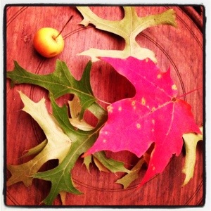 Leaves and crabapple on wooden tray (image by Esma, care of Liz Cameron)