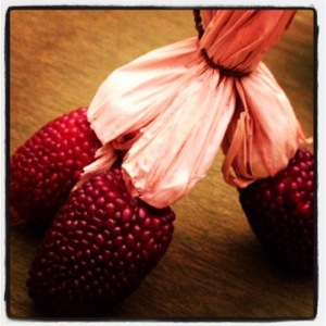 Indian corn as if garnets (image by Esma, care of Liz Cameron)