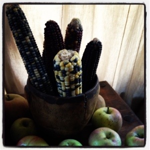 Indian corn and Fuji apples (Image by Liz Cameron)