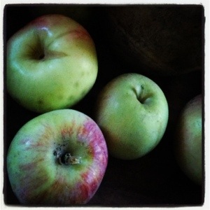 Fuji apples (Image by Liz Cameron)