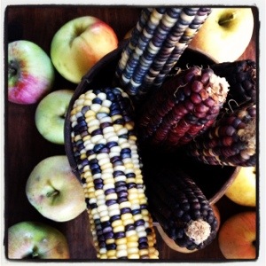 Indian corn and Fuji apples (Image by Liz Cameron)