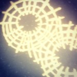 Golden mollusks and sea creatures on floor of Miami International Airport