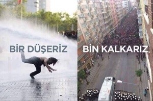 "One falls, thousands stand up" (Image author unknown)