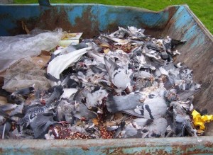 Author of this image is unknown.