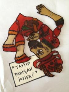 karagoz tayyip erdogan occupy gezi liz cameron