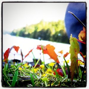 228954_636663664309_309325_n