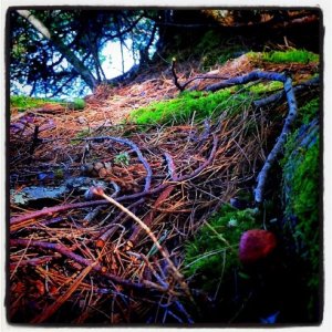 262937_636696882739_6665829_n