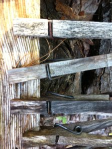 291985_636697481539_7820206_n