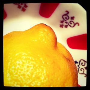 Lemon and traditional Turkish tea saucer (Image by Liz Cameron)