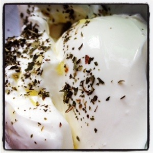 Mint on yogurt at Mustafa Bey's Çiftlik Evi in Gaziveren, Northern Cyprus (Image by Liz Cameron)