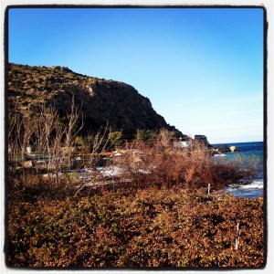 Wintry view of the Ak Deniz over the grape arbor - from our window in the rooms above the Dillarga Lokanta in Yesilmak, Northern Cyprus - the westernmost town! (Image by Liz Cameron)