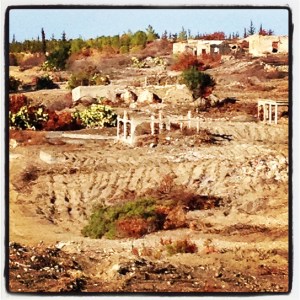 An abandoned village near Yeşilırmak near the UN Buffer Zone in Northern Cyprus (Image by Liz Cameron)